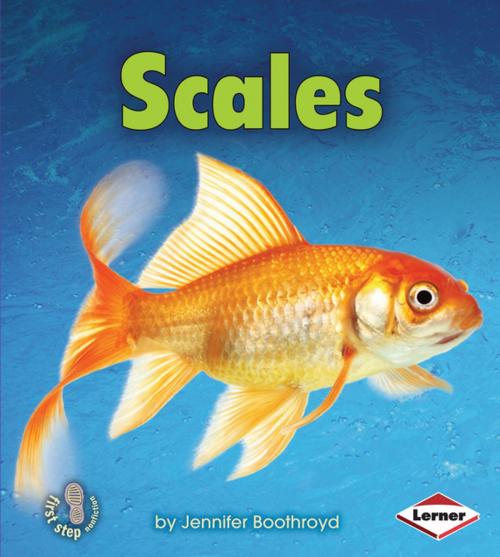 Cover of the book Scales by Jennifer Boothroyd, Lerner Publishing Group