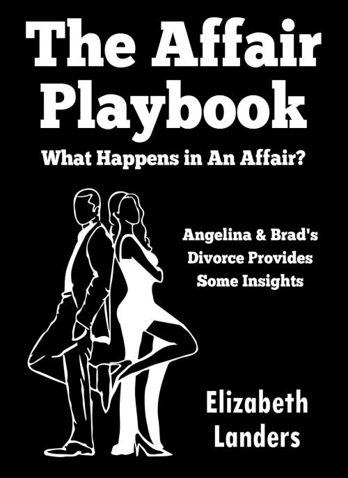 Cover of the book The Affair Playbook by Elizabeth Landers, BookBaby