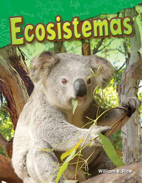 Cover of the book Ecosistemas by William B. Rice, Teacher Created Materials