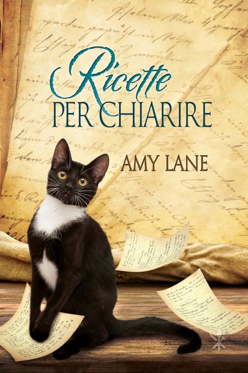 Cover of the book Ricette per chiarire by Amy Lane, Dreamspinner Press