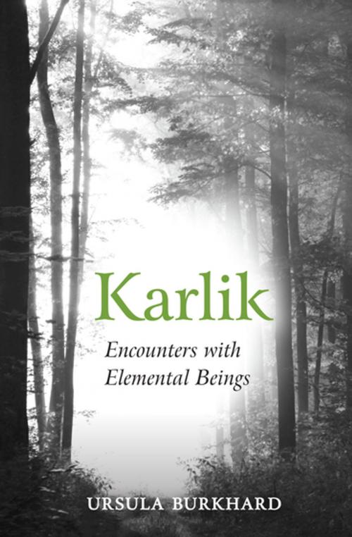 Cover of the book Karlik by Ursula Burkhard, Floris Books