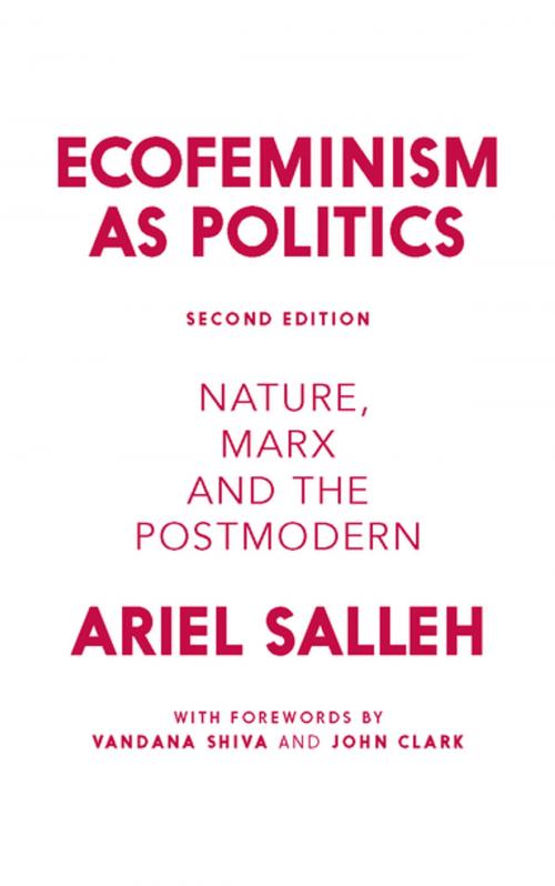 Cover of the book Ecofeminism as Politics by Ariel Salleh, Zed Books