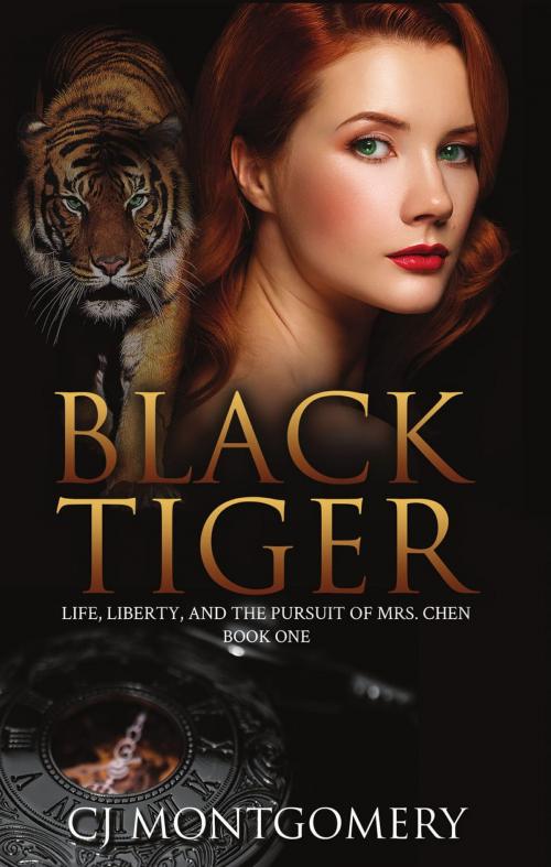 Cover of the book Black Tiger by CJ Montgomery, Dragon Visions Press