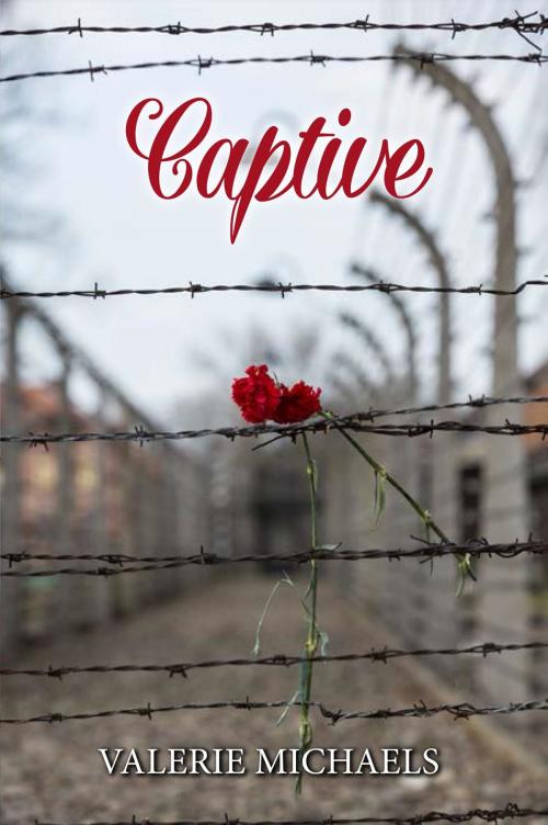 Cover of the book Captive by Valerie Michaels, Toplink Publishing, LLC