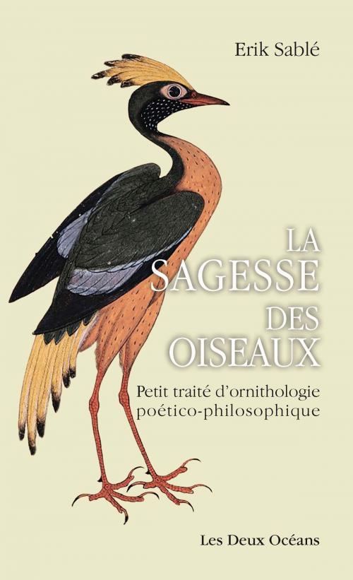 Cover of the book La sagesse des oiseaux by Erik Sablé, Les Deux Océans