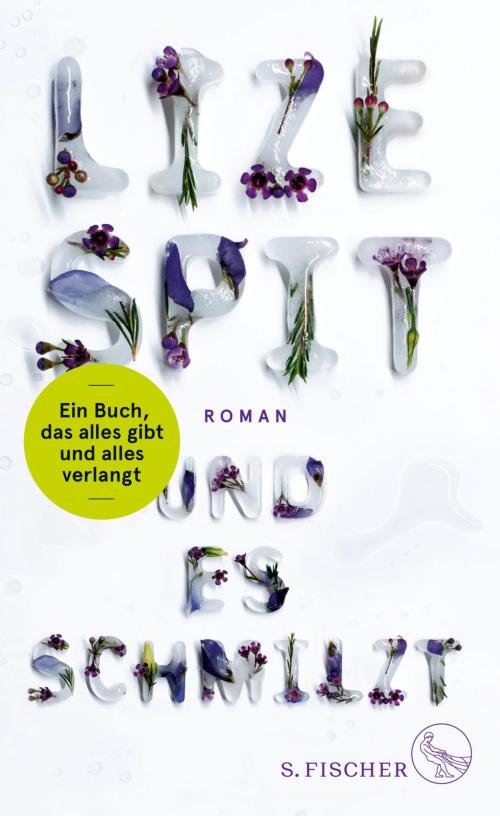 Cover of the book Und es schmilzt by Lize Spit, FISCHER E-Books