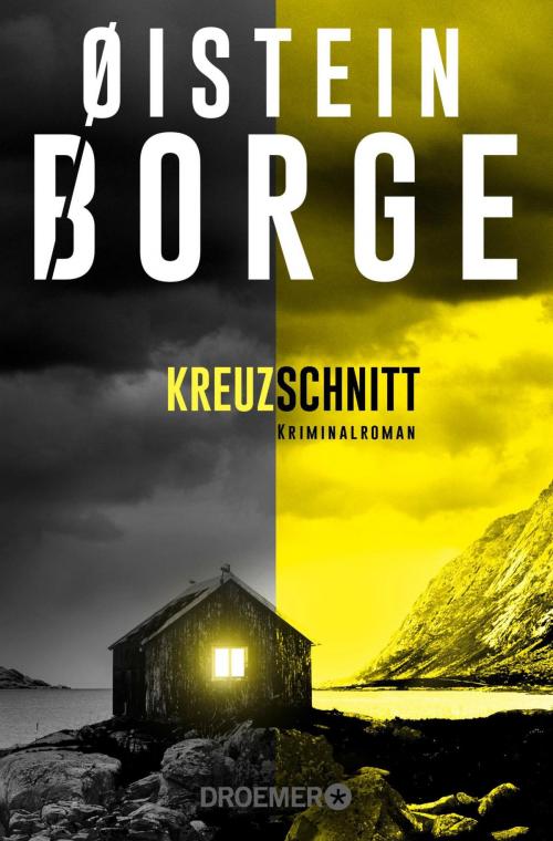 Cover of the book Kreuzschnitt by Øistein Borge, Droemer eBook
