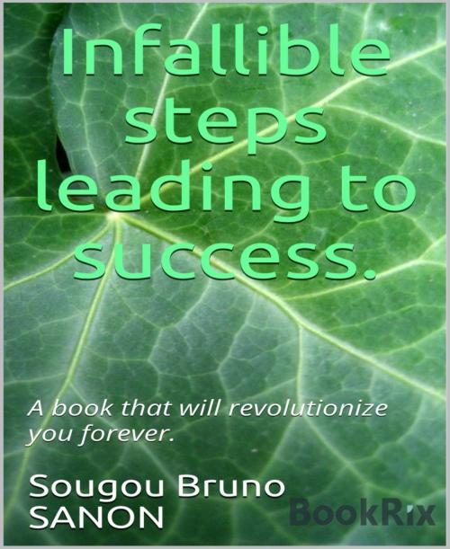 Cover of the book Infallible steps leading to success by Sougou Bruno SANON, BookRix