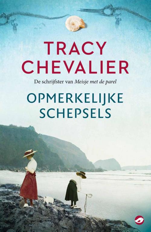 Cover of the book Opmerkelijke schepsels by Tracy Chevalier, NBC - Orlando