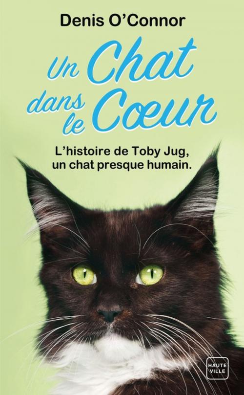 Cover of the book Un chat dans le coeur by Denis O'Connor, Milady