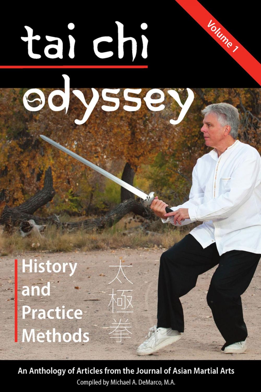 Big bigCover of Tai Chi Odyssey, Vol. 1