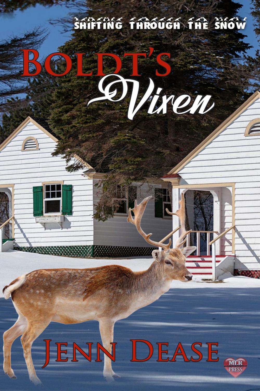 Big bigCover of Boldt's Vixen