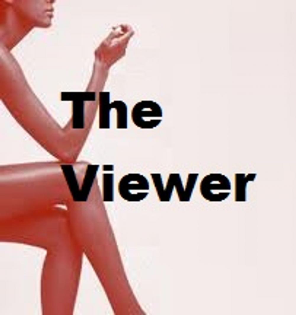 Big bigCover of The Viewer