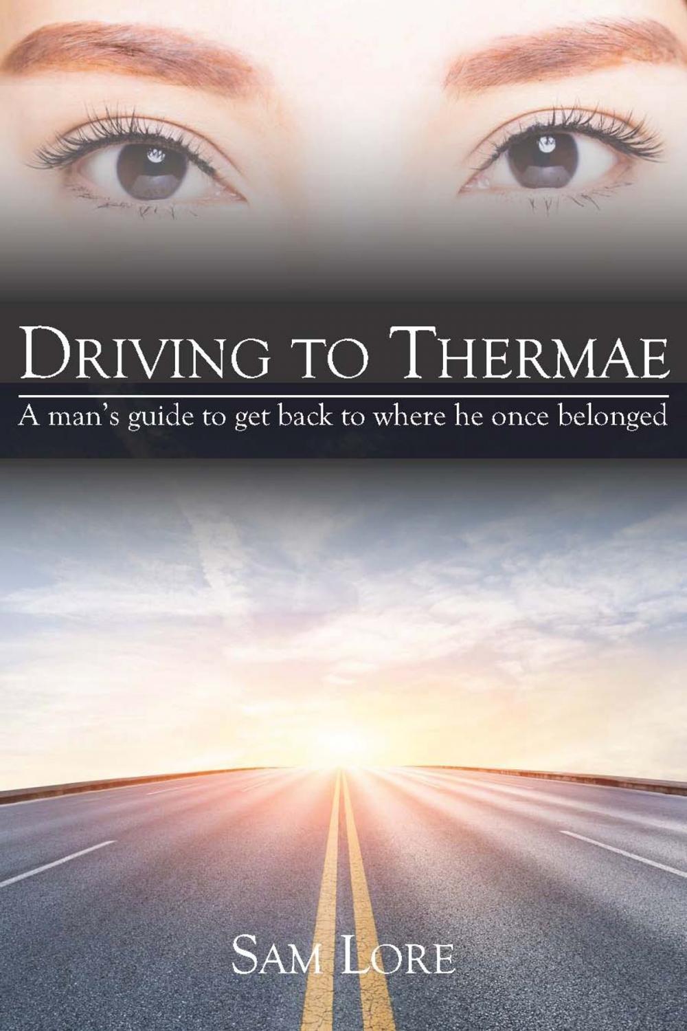 Big bigCover of Driving to Thermae