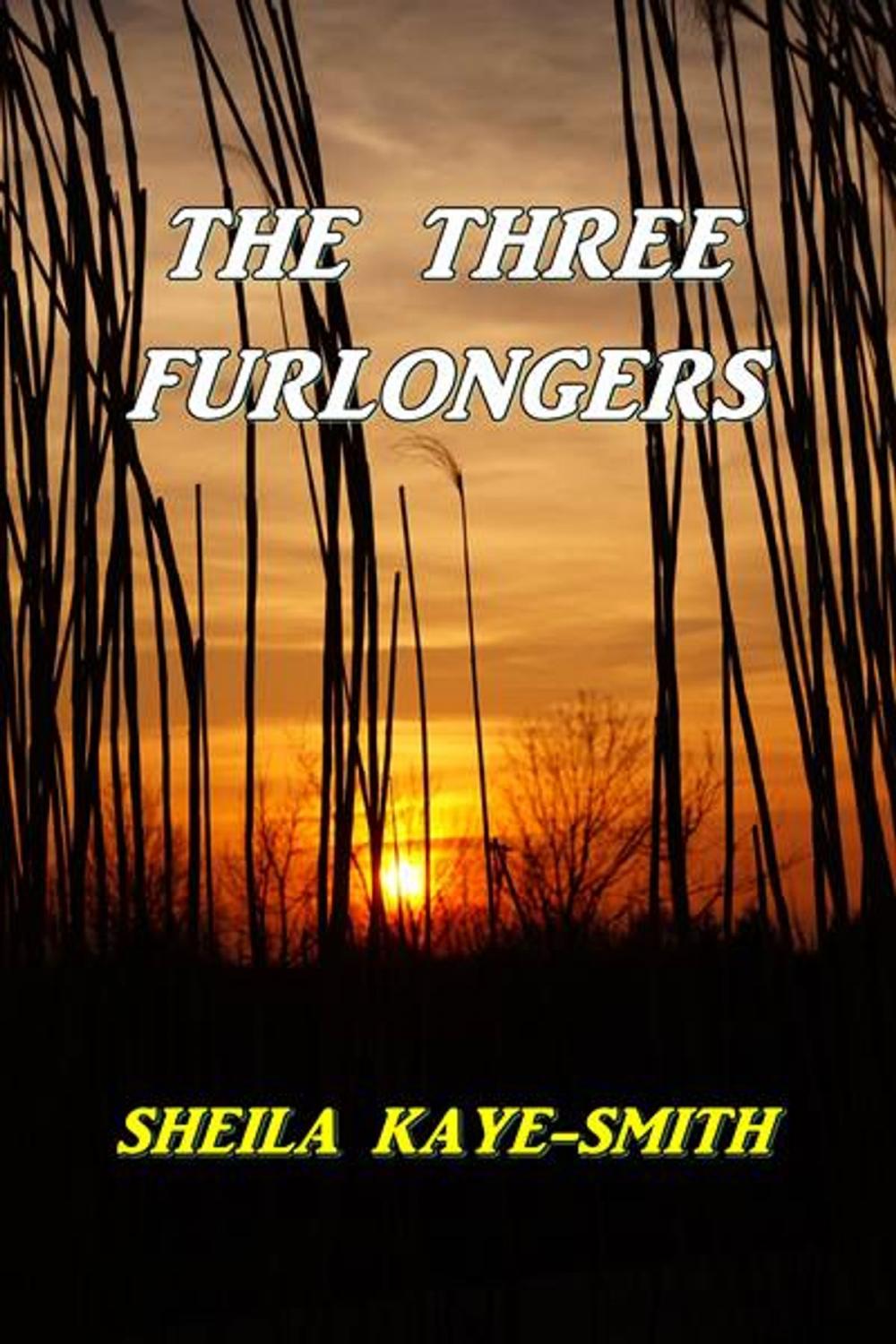 Big bigCover of The Three Furlongers