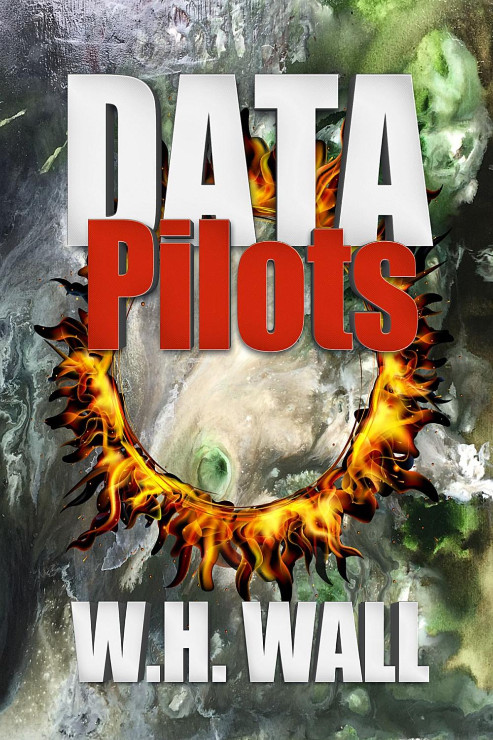 Big bigCover of Data Pilots