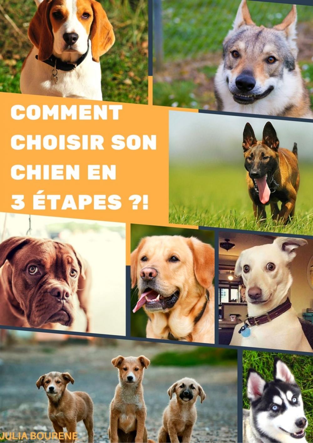 Big bigCover of Comment choisir son chien en 3 étapes