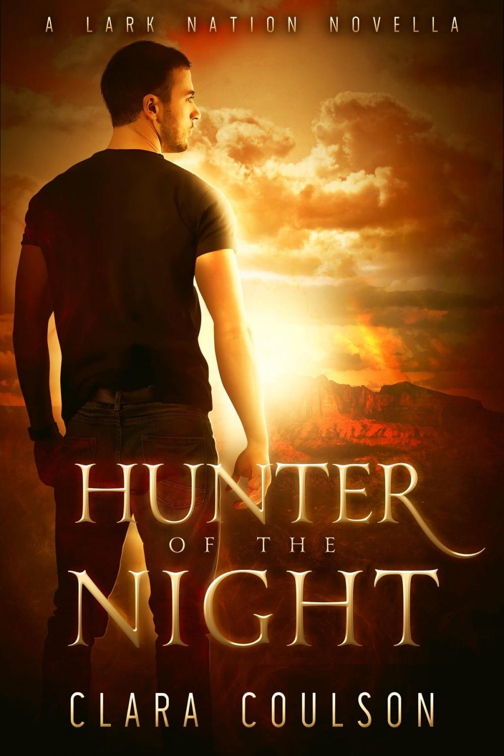 Big bigCover of Hunter of the Night