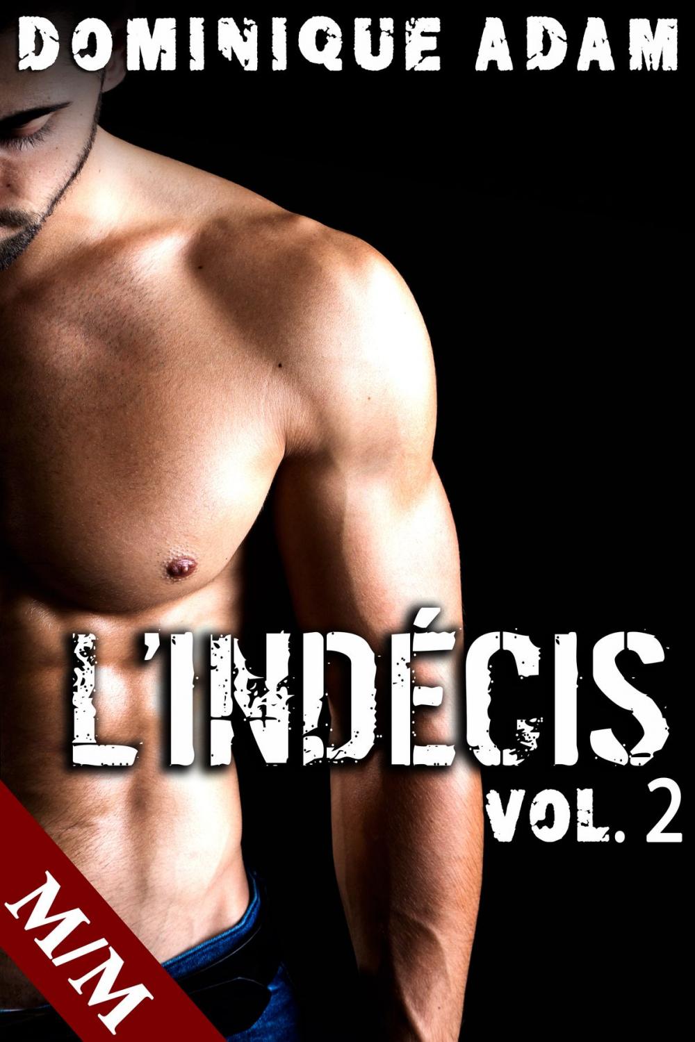 Big bigCover of L'Indécis Vol. 2