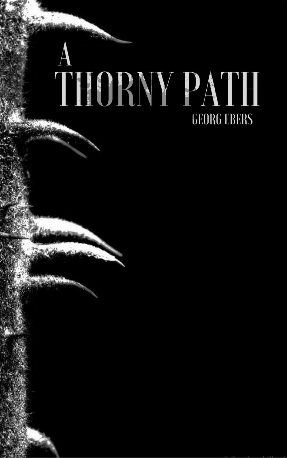 Big bigCover of A Thorny Path