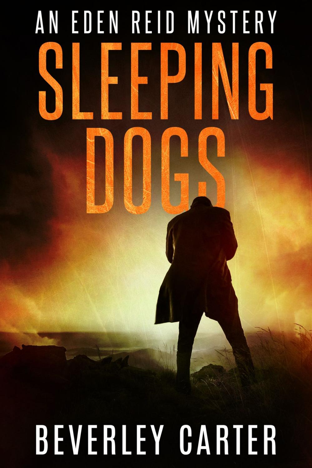 Big bigCover of Sleeping Dogs