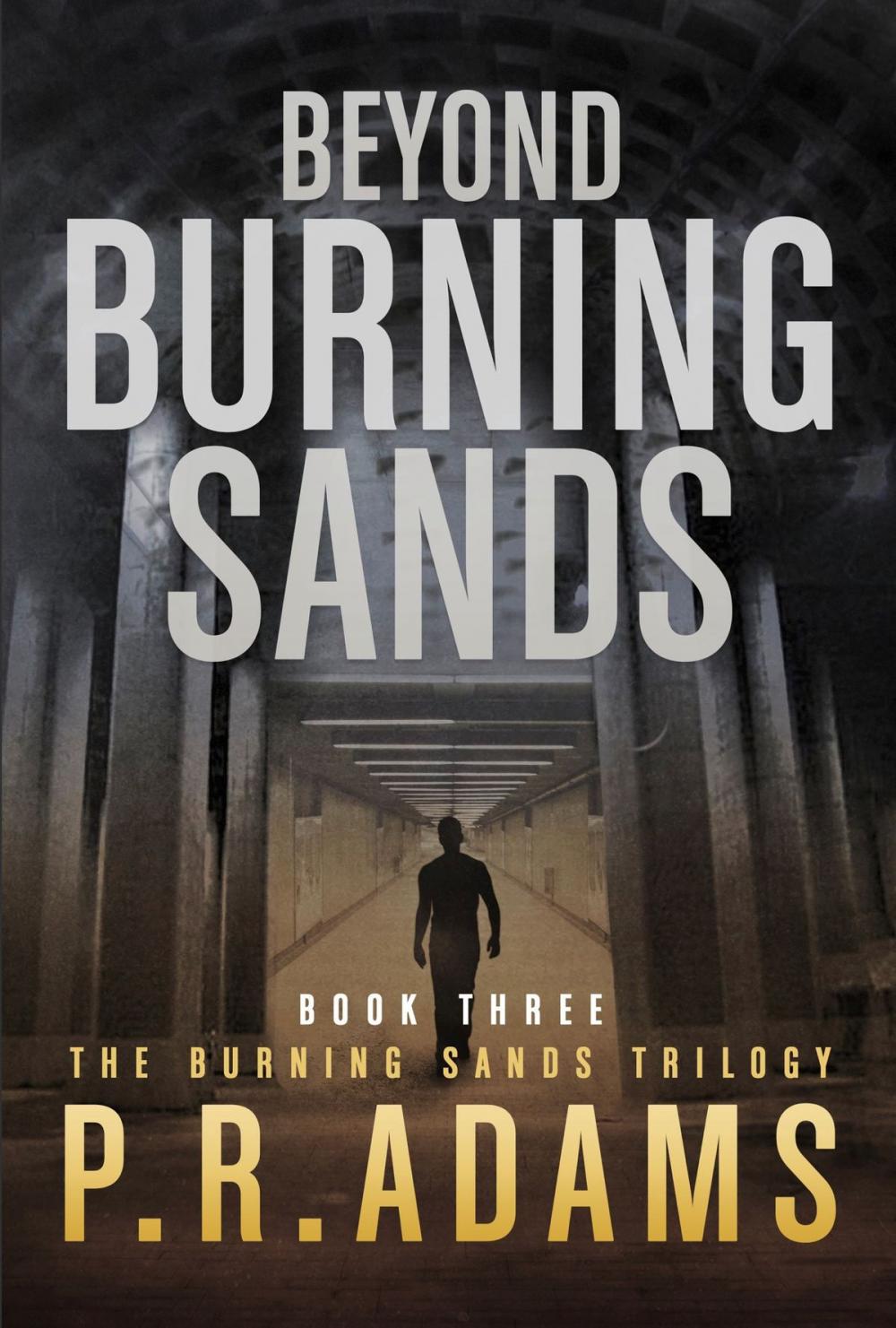 Big bigCover of Beyond Burning Sands