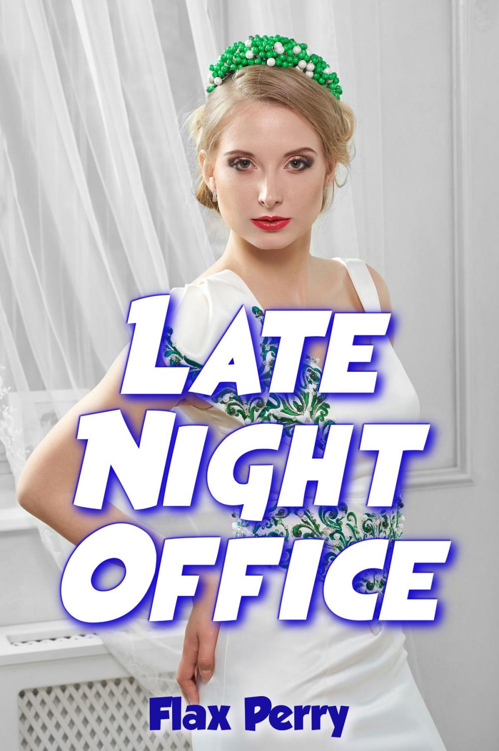 Big bigCover of Late Night Office