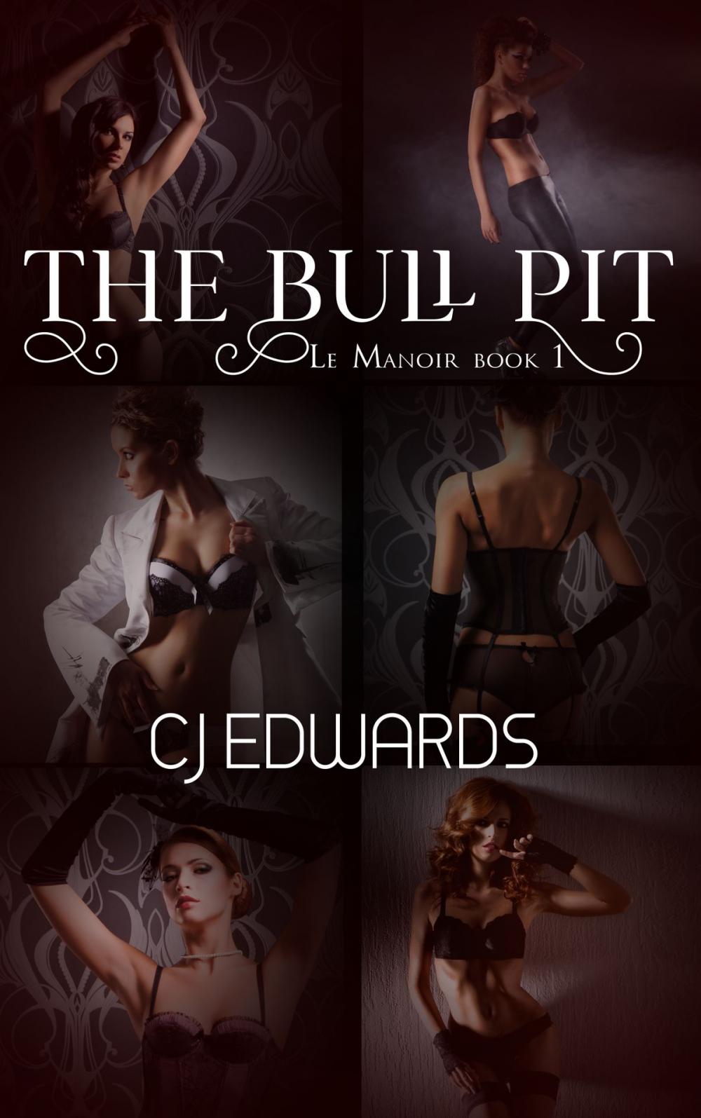 Big bigCover of The Bull Pit