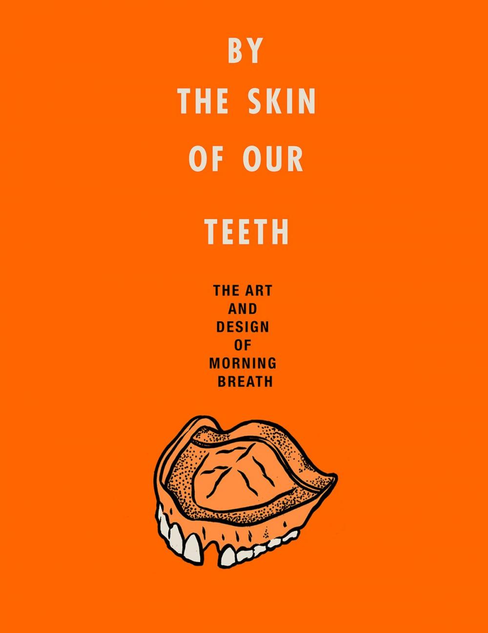 Big bigCover of By the Skin of Our Teeth