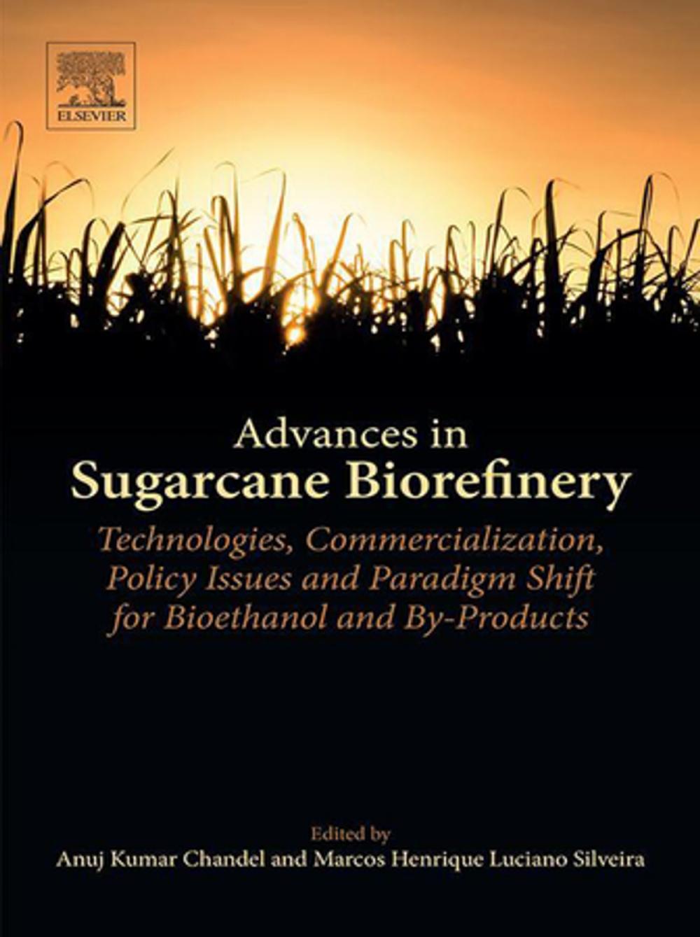 Big bigCover of Advances in Sugarcane Biorefinery