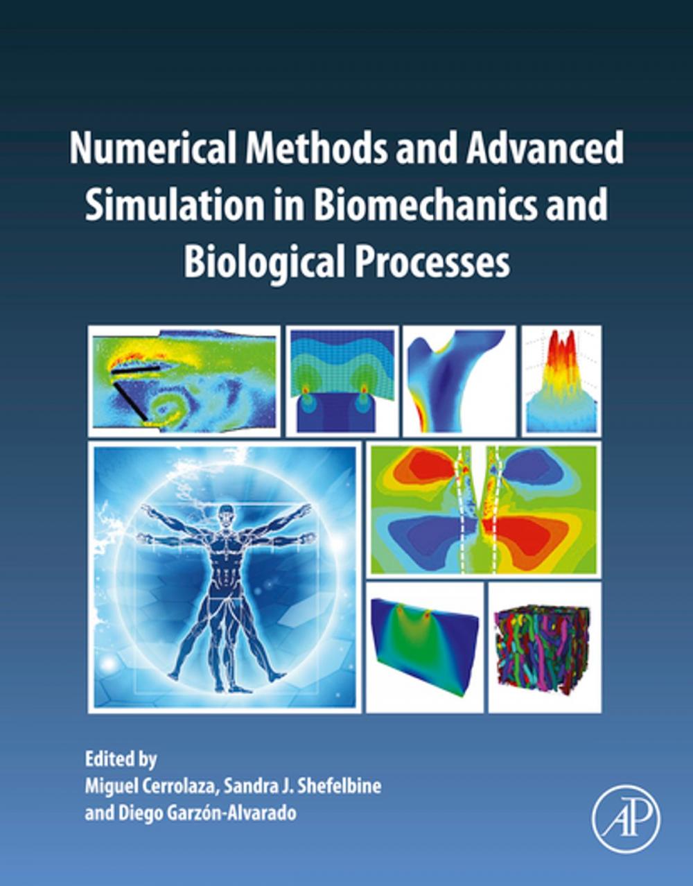 Big bigCover of Numerical Methods and Advanced Simulation in Biomechanics and Biological Processes