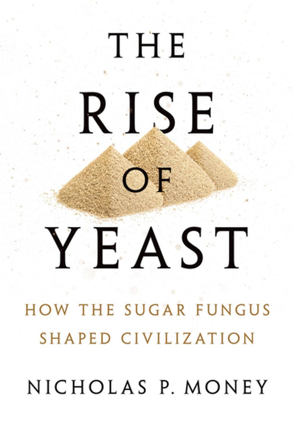 Big bigCover of The Rise of Yeast