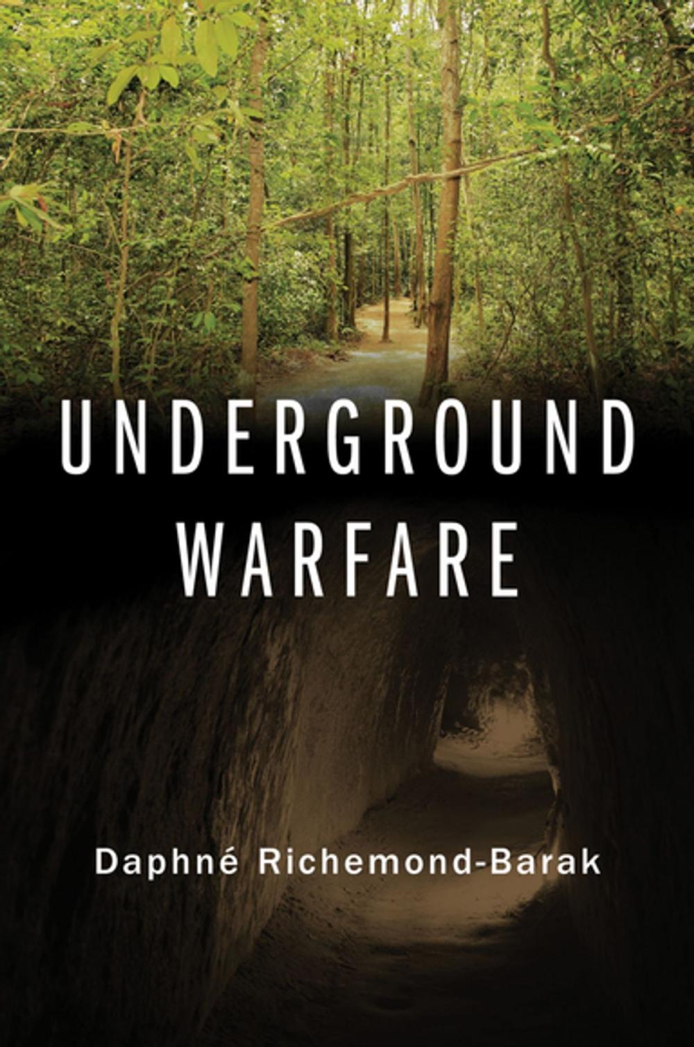 Big bigCover of Underground Warfare