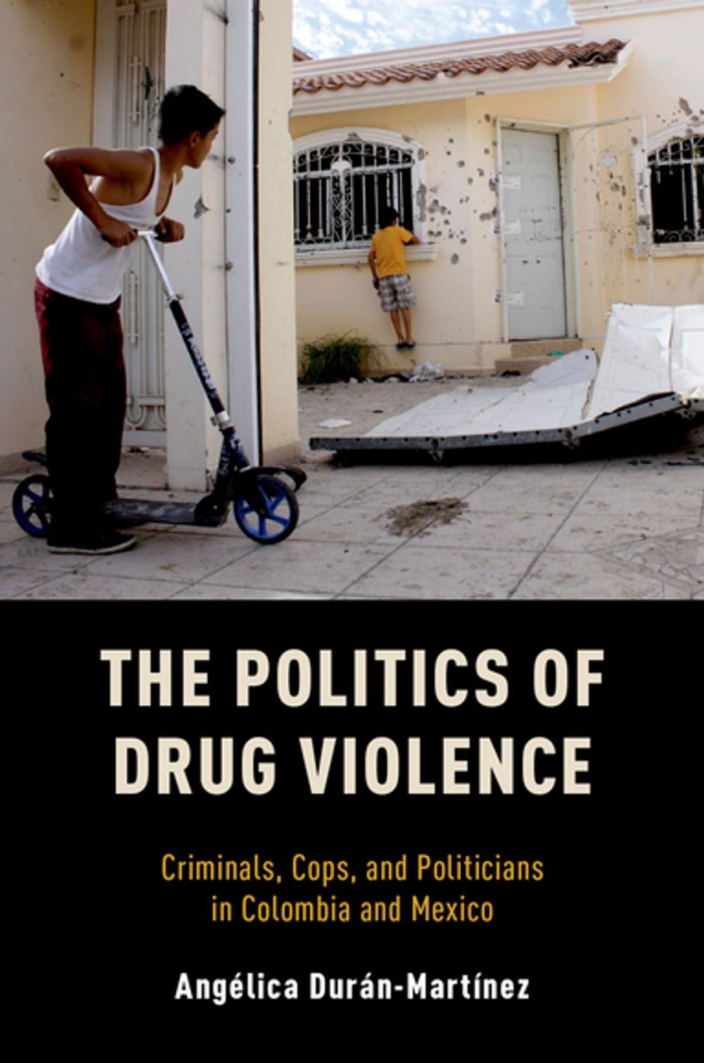 Big bigCover of The Politics of Drug Violence