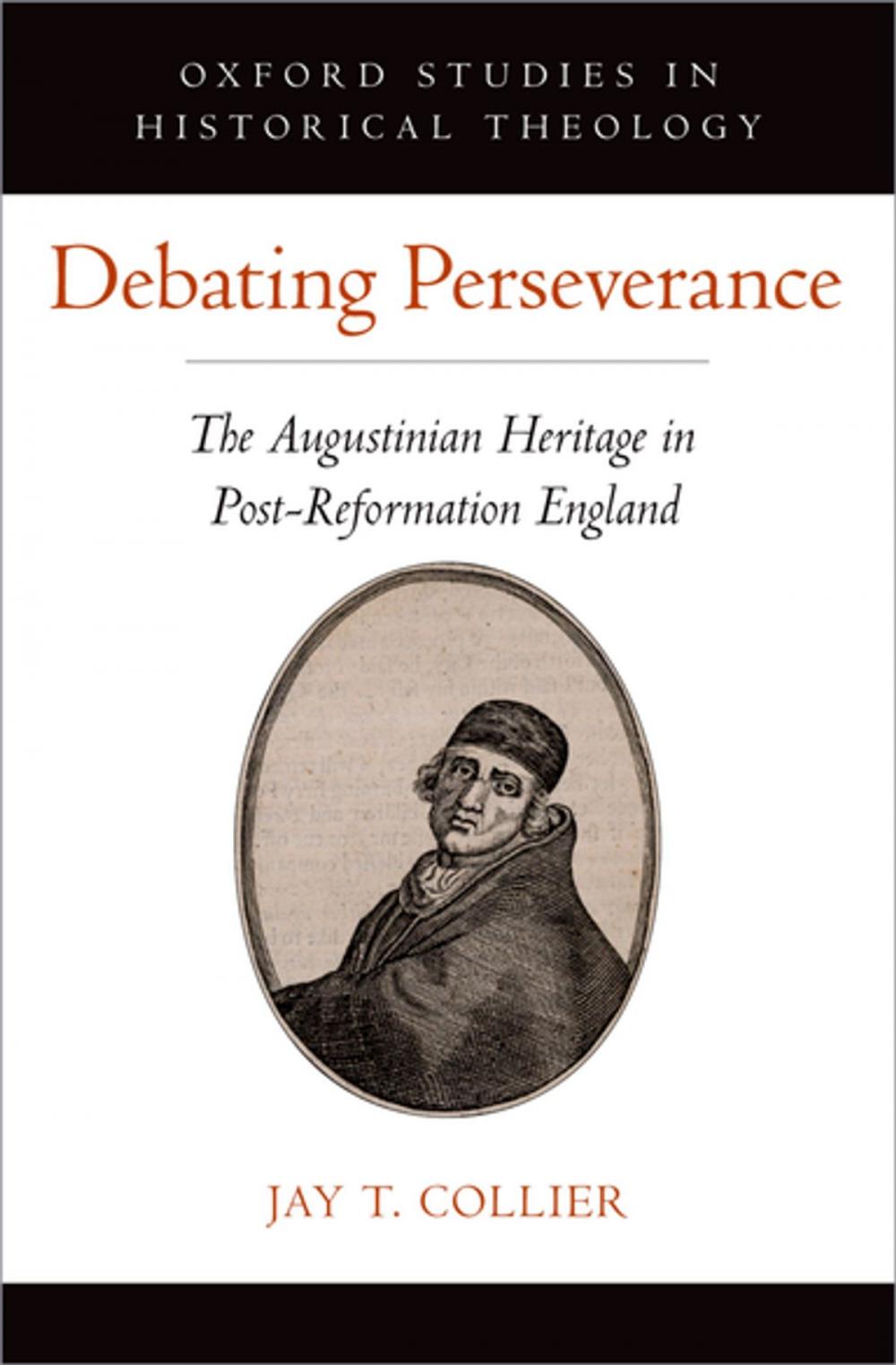 Big bigCover of Debating Perseverance