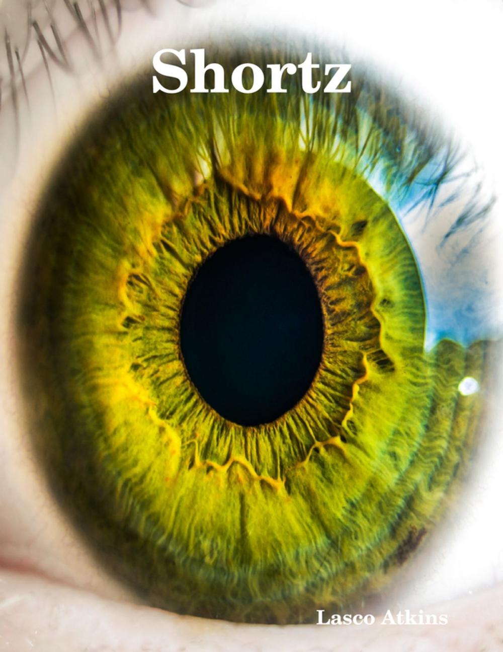 Big bigCover of Shortz