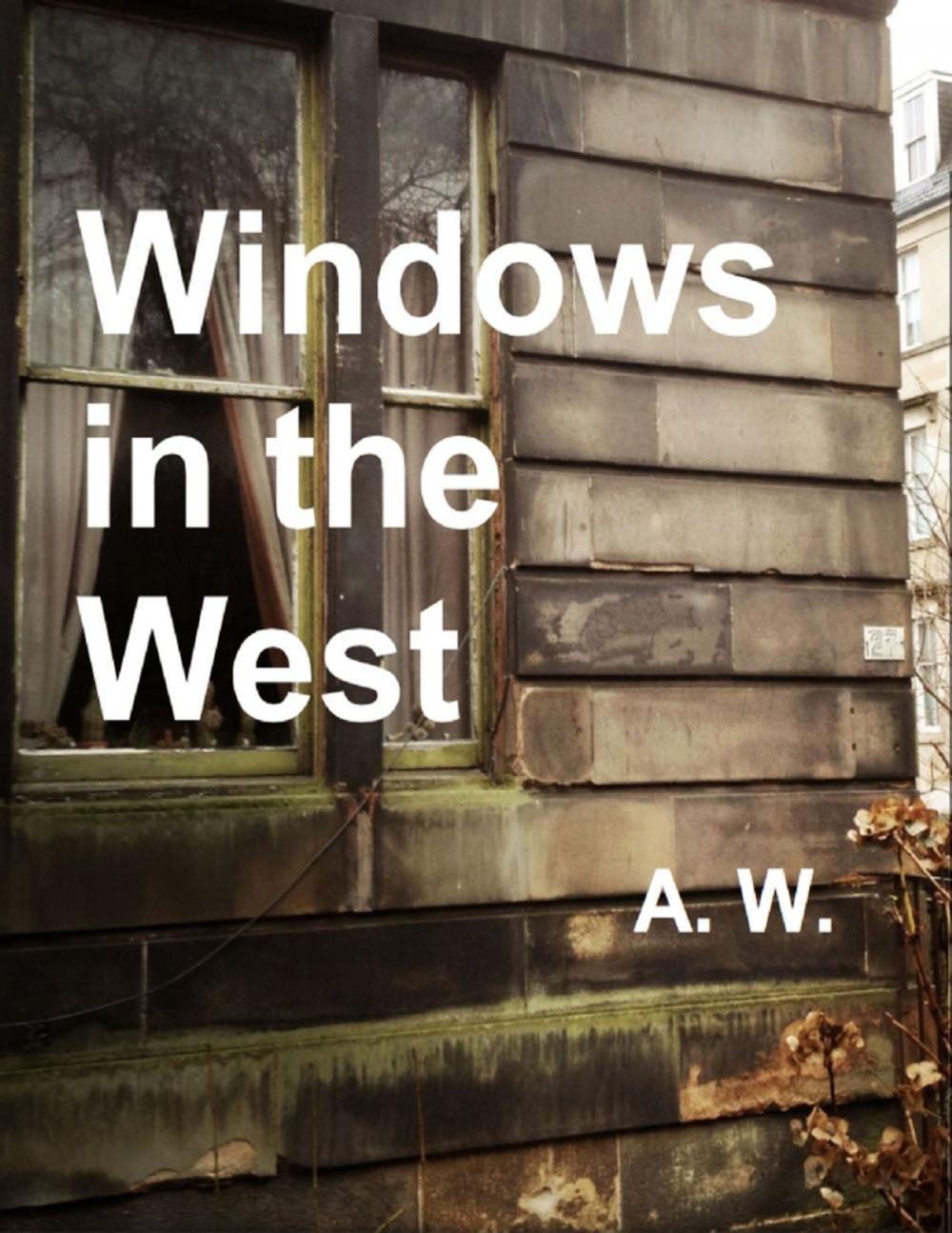 Big bigCover of Windows In the West