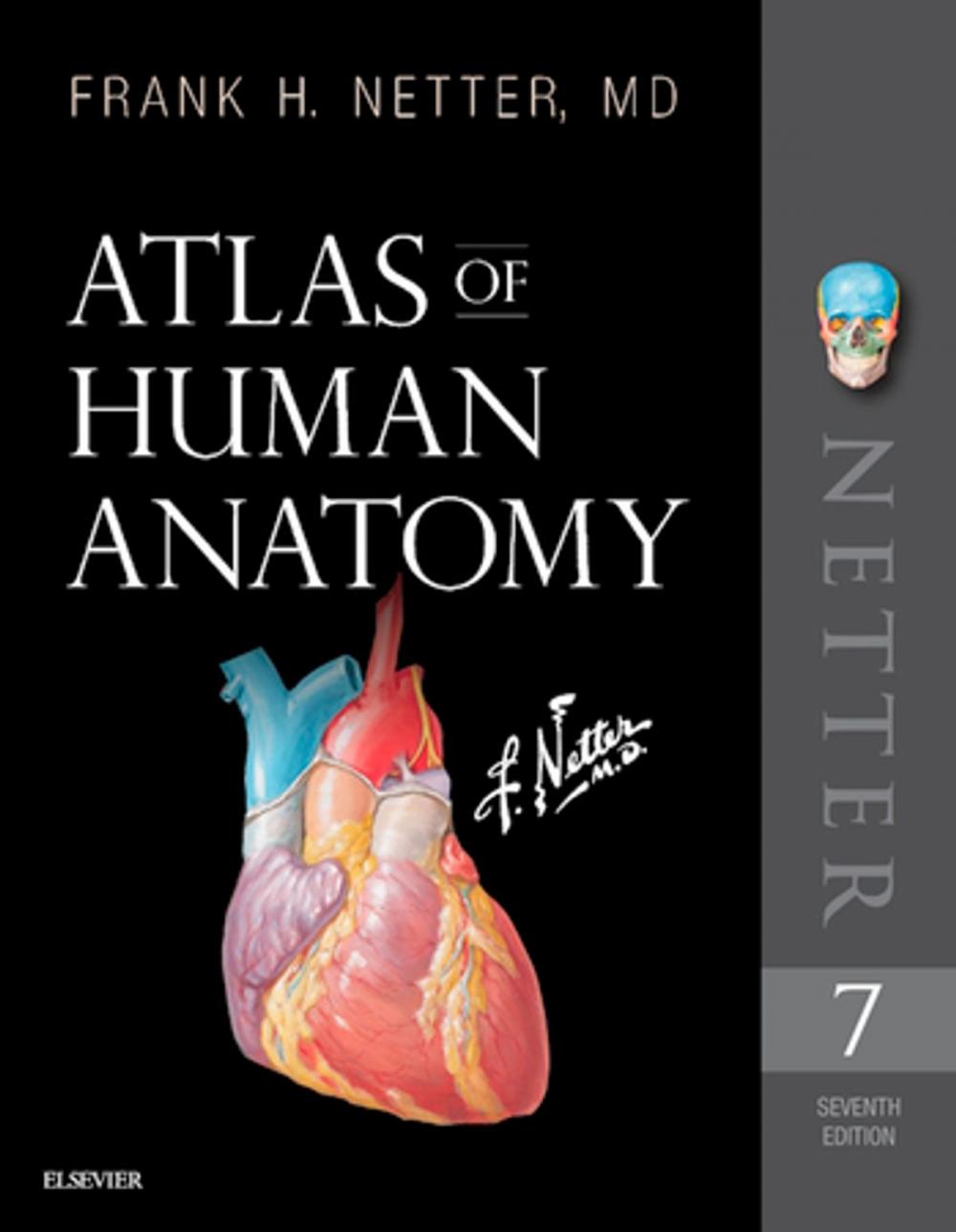 Big bigCover of Atlas of Human Anatomy E-Book