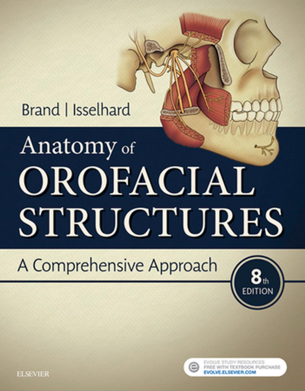 Big bigCover of Anatomy of Orofacial Structures E-Book