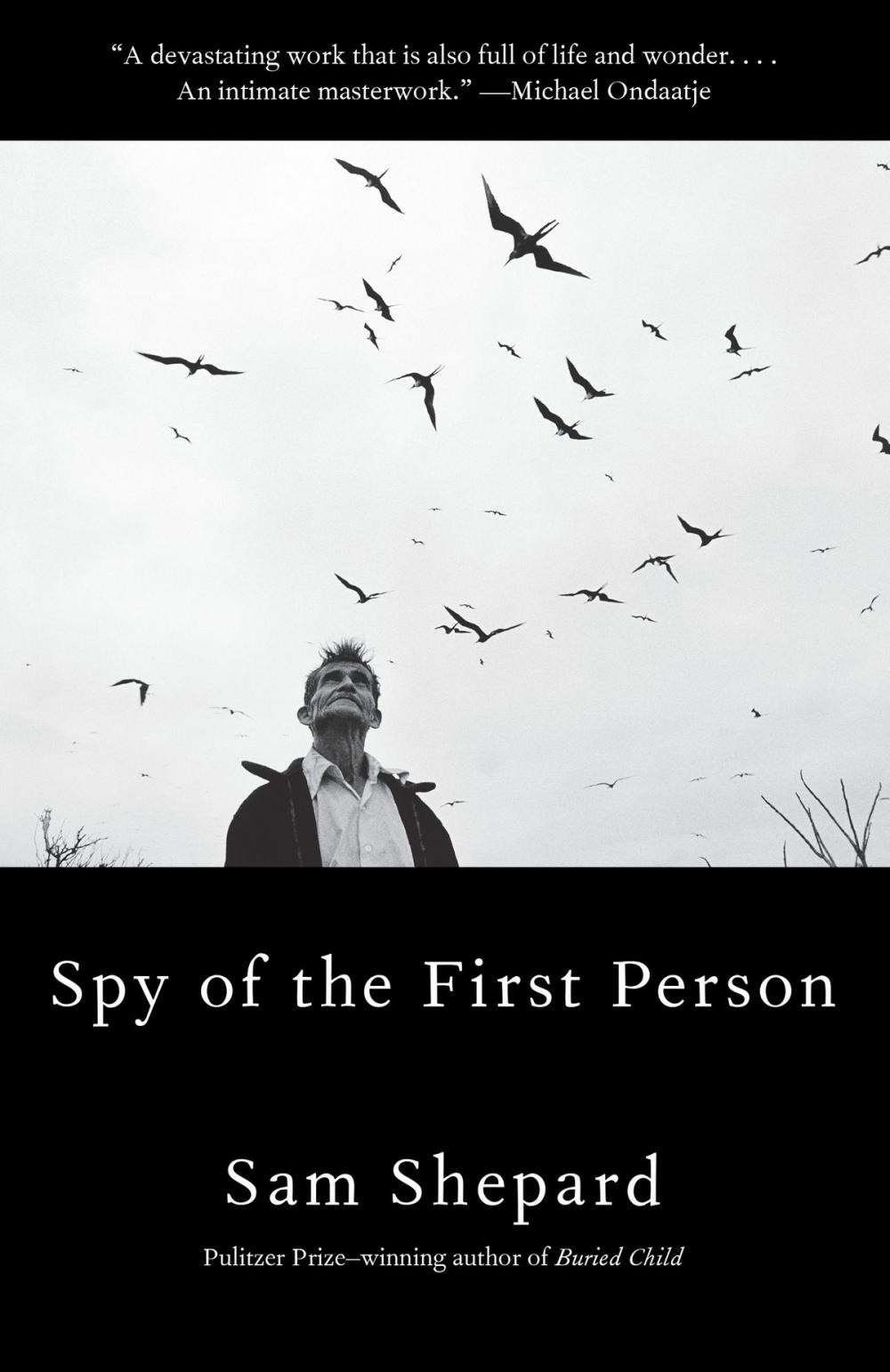 Big bigCover of Spy of the First Person