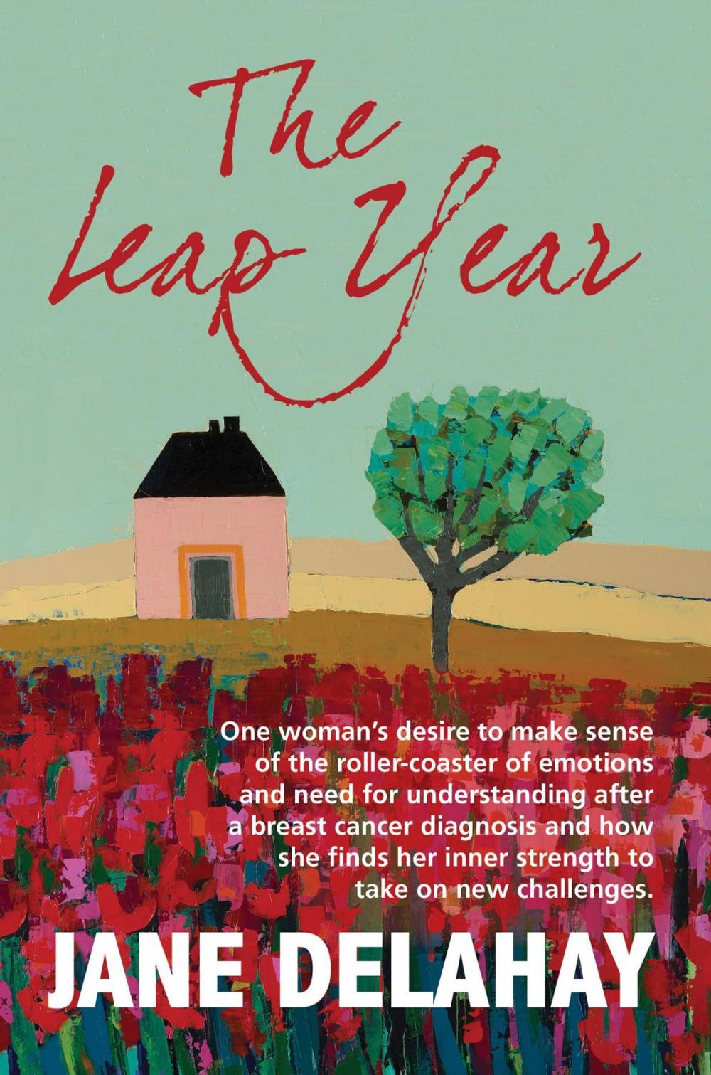 Big bigCover of The Leap Year