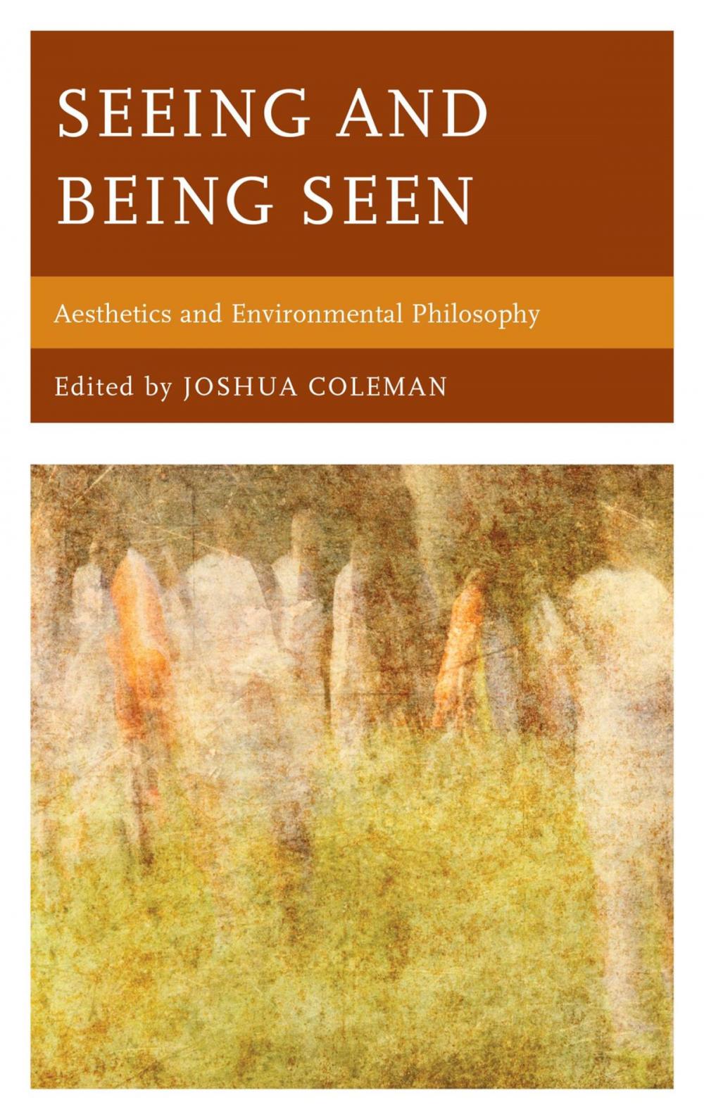 Big bigCover of Seeing and Being Seen