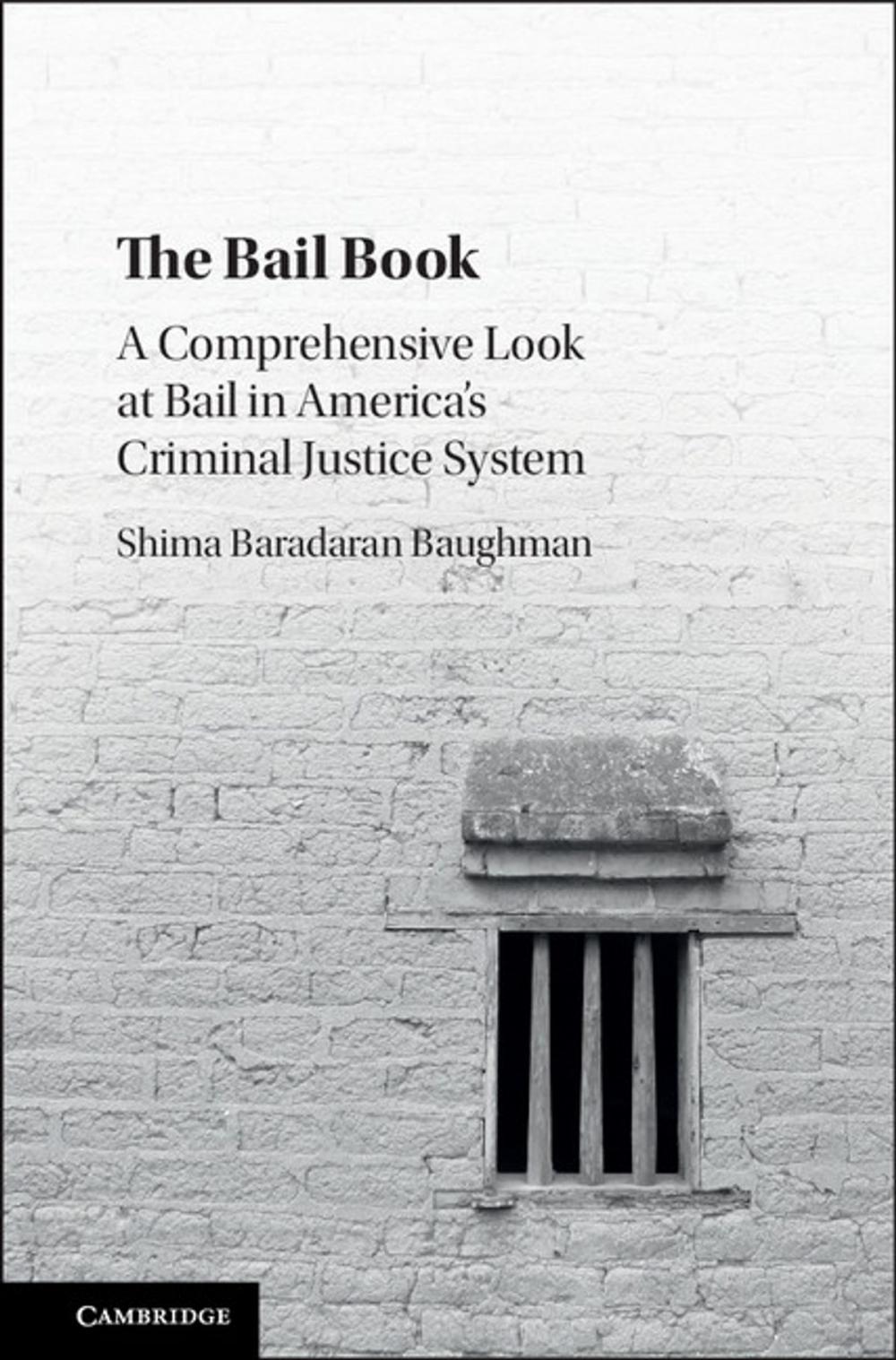 Big bigCover of The Bail Book