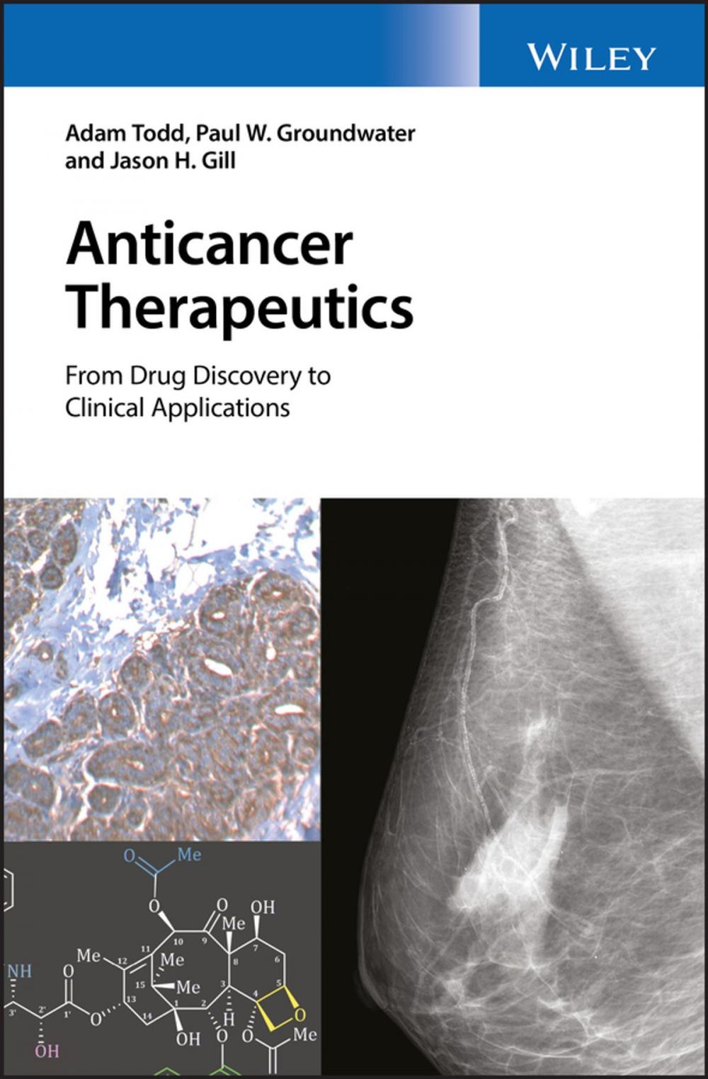 Big bigCover of Anticancer Therapeutics