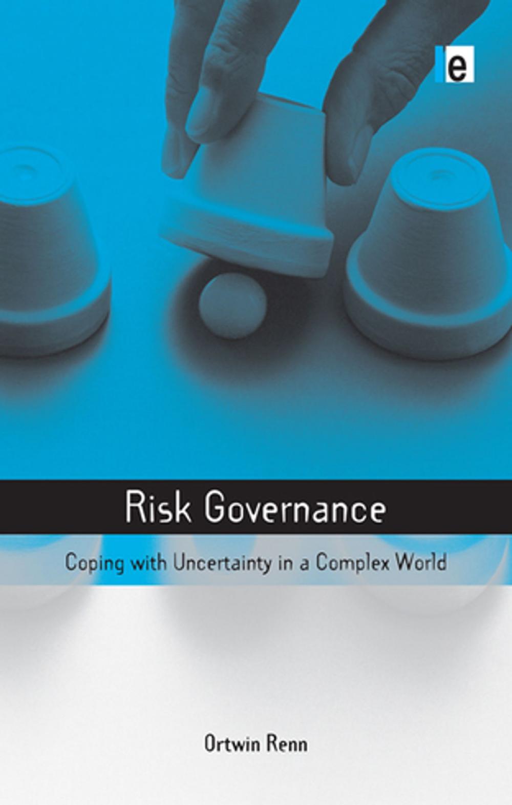 Big bigCover of Risk Governance