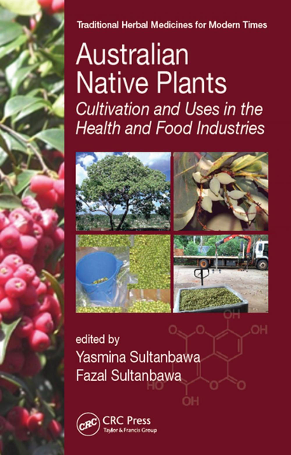 Big bigCover of Australian Native Plants