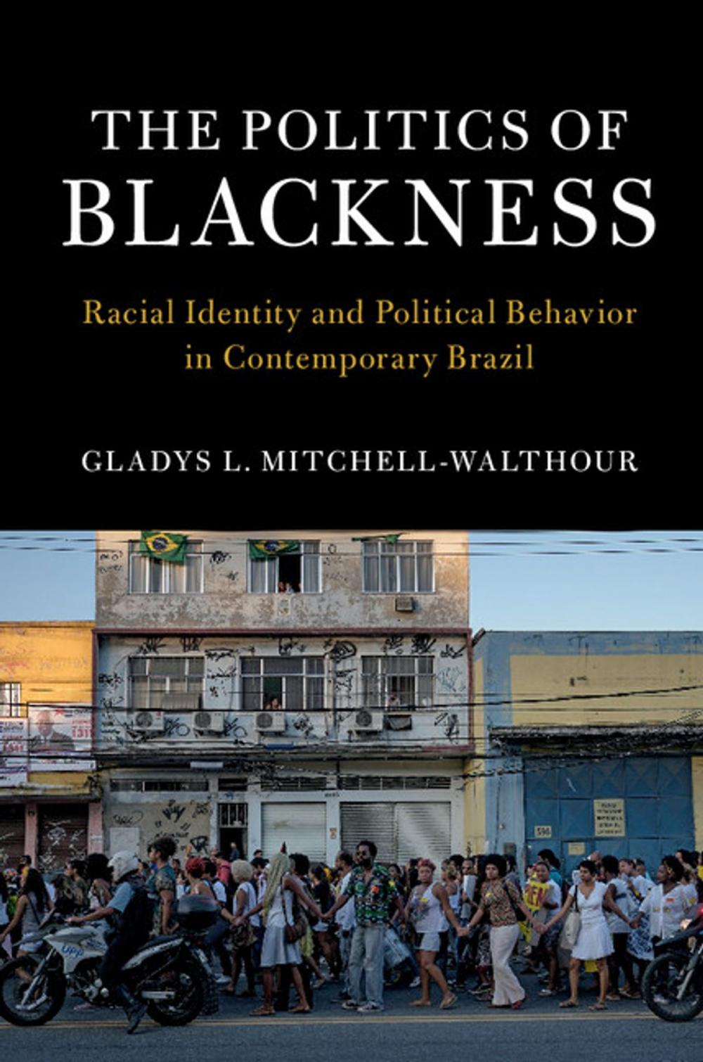 Big bigCover of The Politics of Blackness