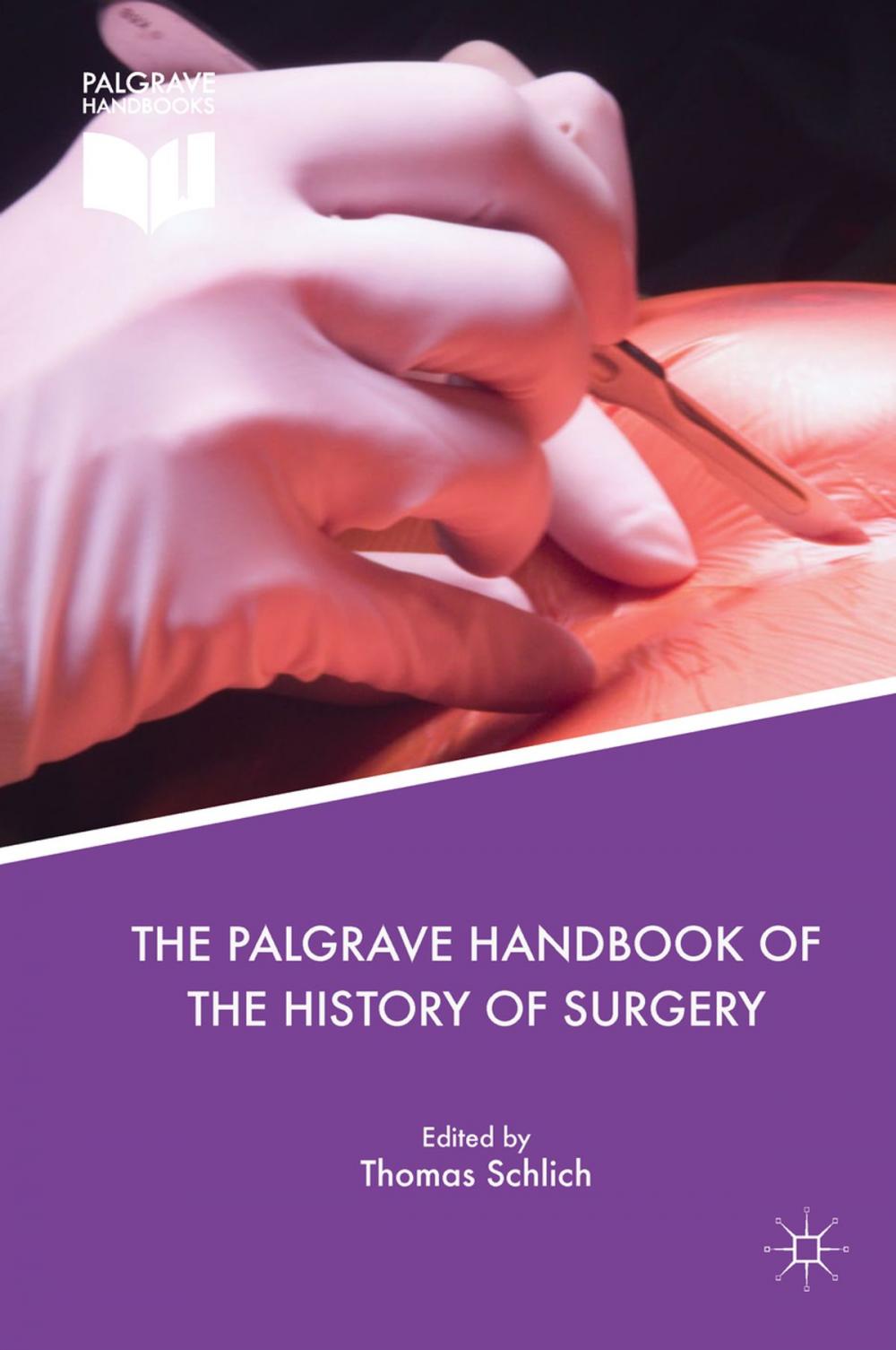 Big bigCover of The Palgrave Handbook of the History of Surgery