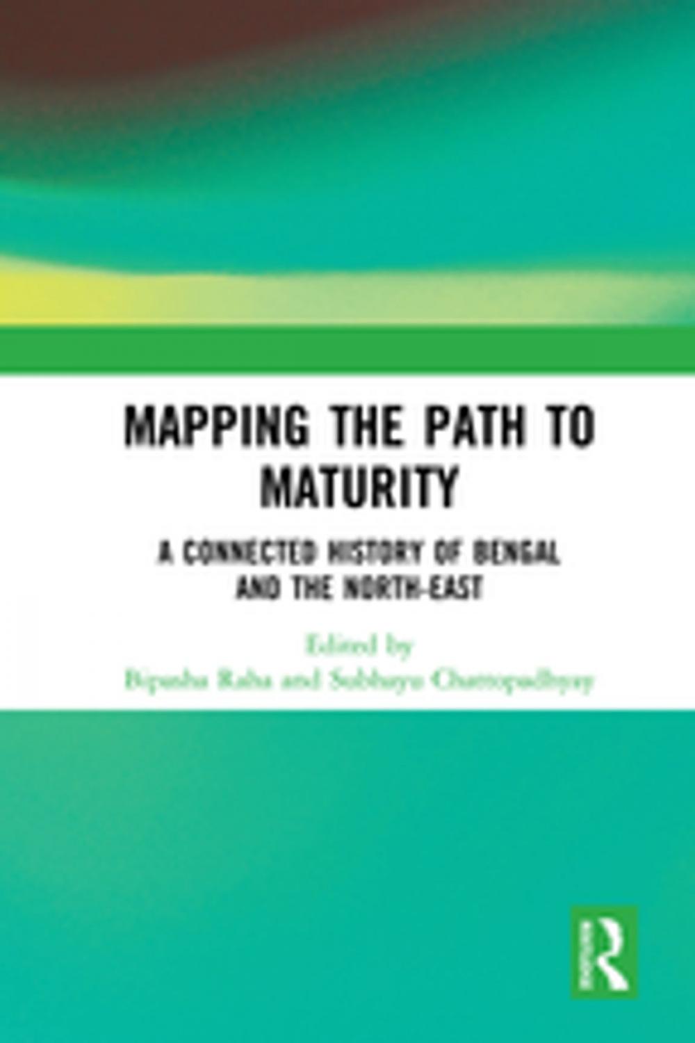 Big bigCover of Mapping the Path to Maturity