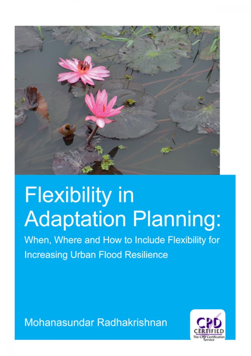 Big bigCover of Flexibility in Adaptation Planning